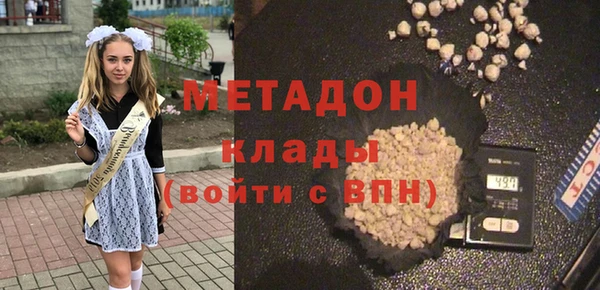прущие грибы Алзамай