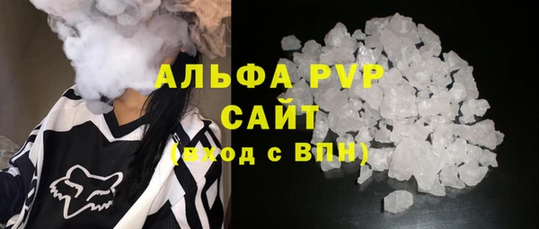 прущие грибы Алзамай