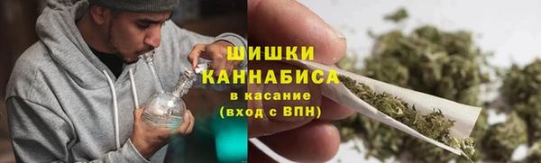 прущие грибы Алзамай