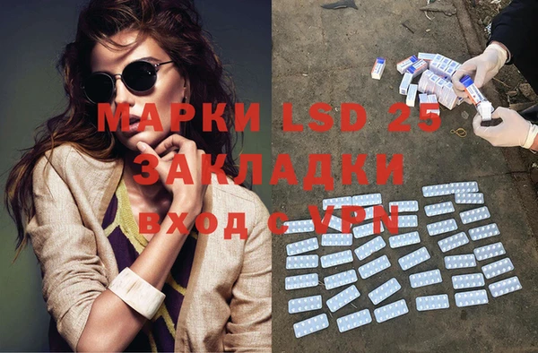 прущие грибы Алзамай