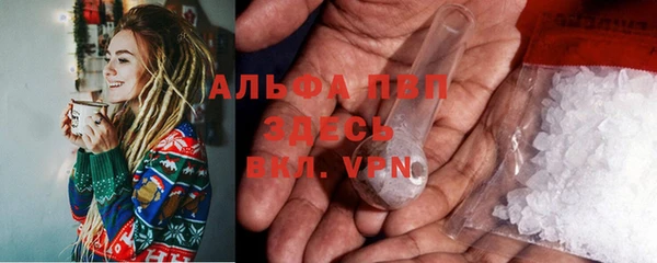 прущие грибы Алзамай