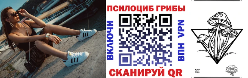 Галлюциногенные грибы GOLDEN TEACHER  Купить  Кочубеевское 